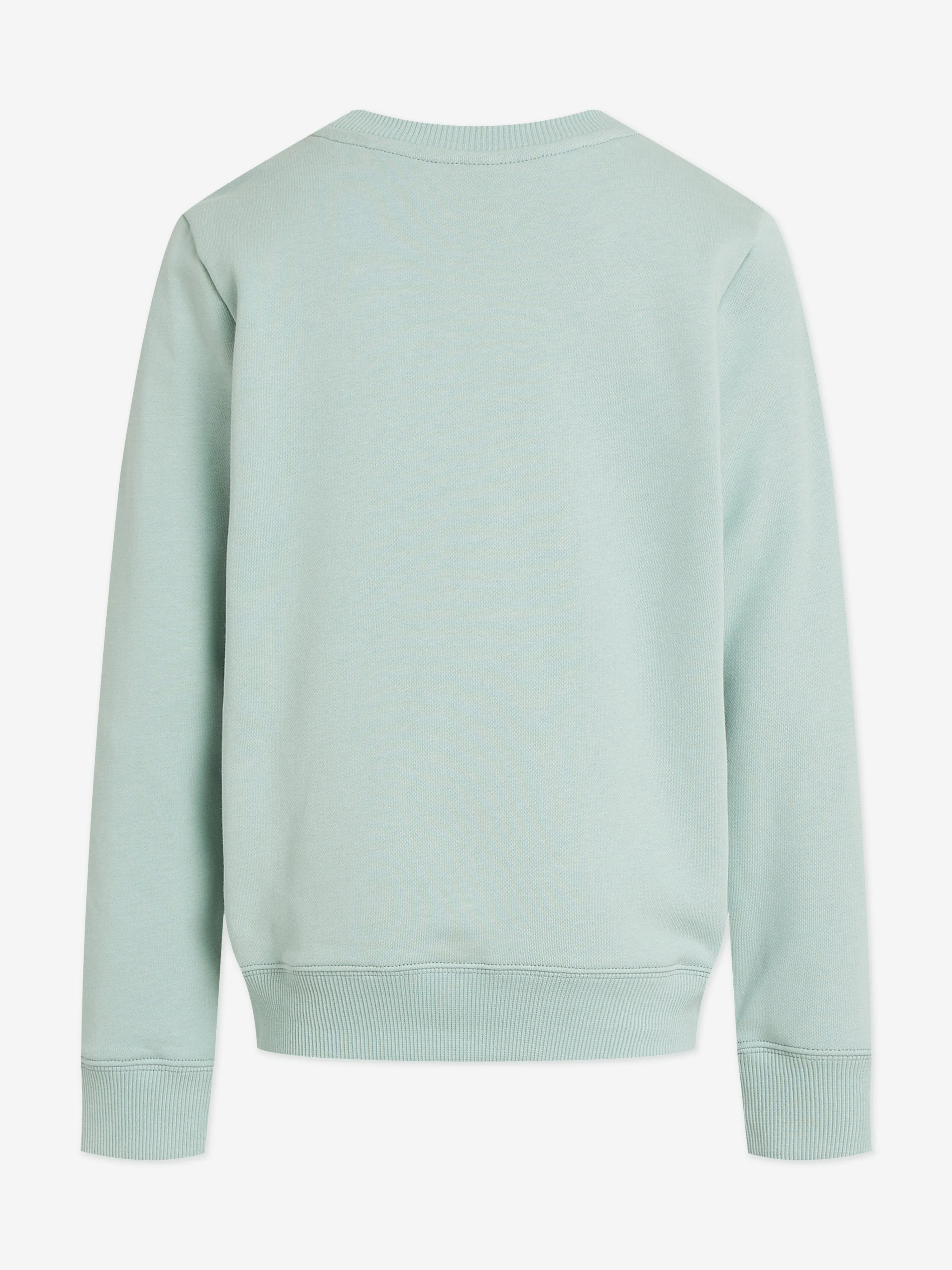 Kids Logo Sweatshirt in Green